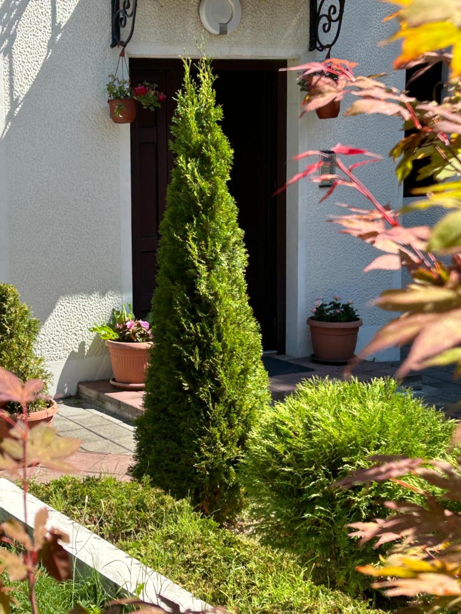 Apartment Vila Novakovic *
