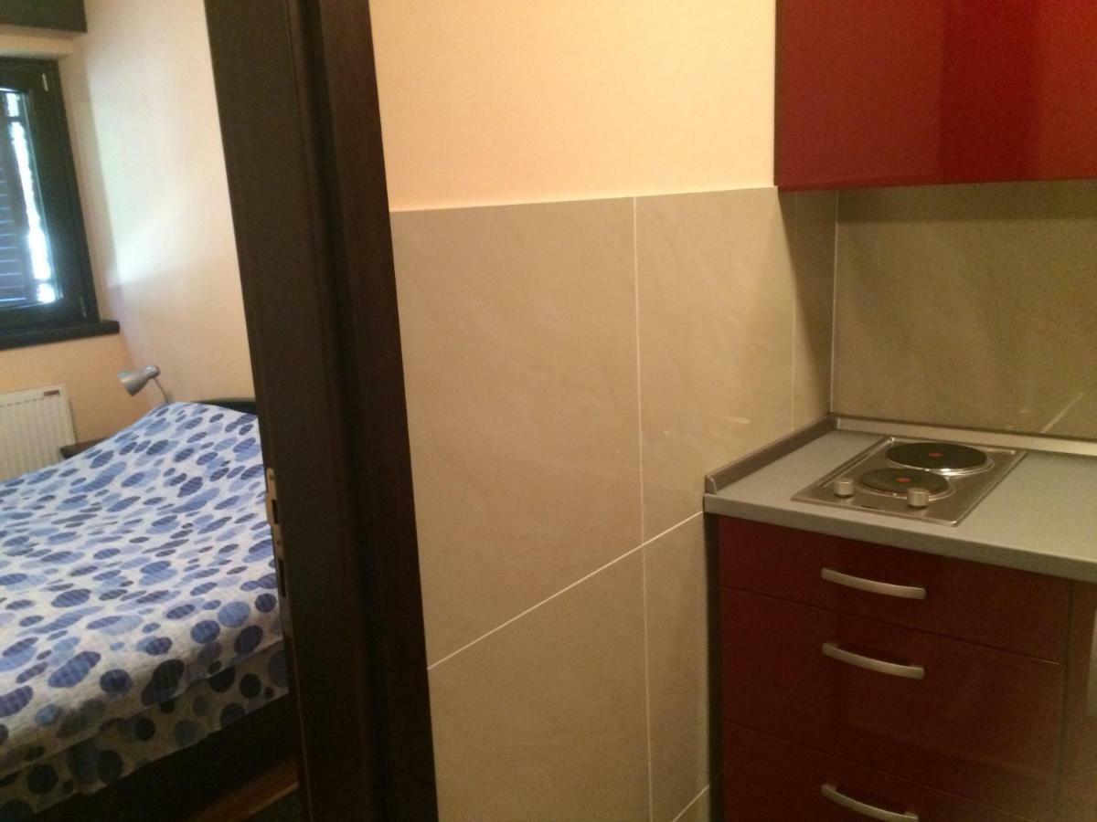 Vila Novakovic Apartment Zlatibor